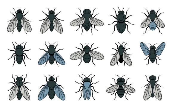 Black and white vector illustration of various bees and wasps flying around Vector