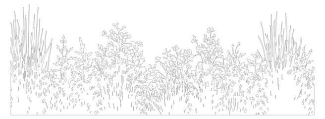 Obraz premium Minimalist line art wild grass and meadow flowers, botanical garden border vector, hand drawn floral field landscape for wedding invitations