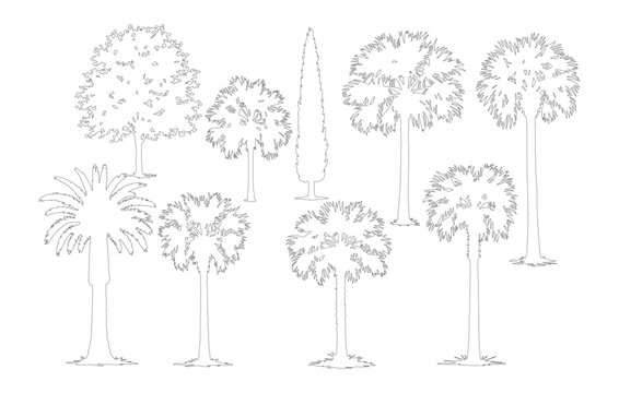 Minimalist tree line art collection, set of 9 botanical vector sketches, hand drawn palm and deciduous tree silhouettes for architectural landscape design