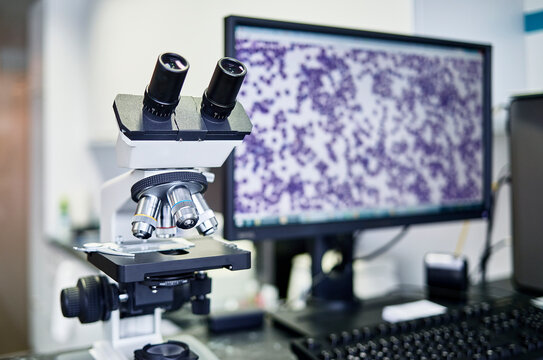 Veterinary practice, microscope and screen