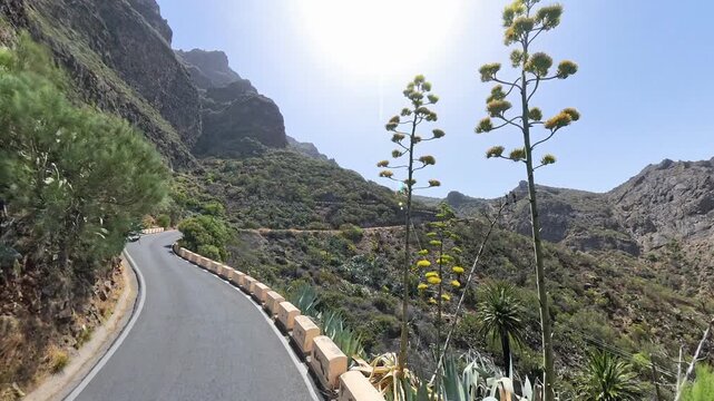 Driving on mountain serpentine road TF-436 in Masca Valley, Tenerife, Canary Islands, sunny scenic route with lens flare, shot on 360 camera 