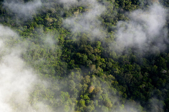 Brazil, Para, Amazon rainforest and clouds
