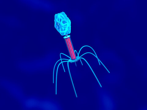 3D rendered Illustration of a convergence to a Bacteriophage