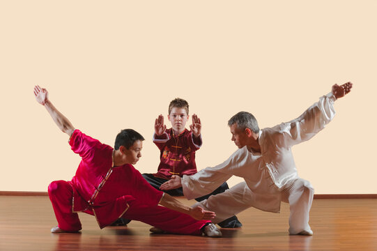 Kung Fu, Changquan, Pubu cuanzhang, Mabu shuang tuizhang, Long Fist Style, Persons practicing martial arts