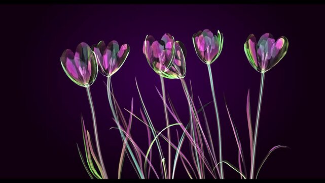 Abstract X Ray Style Crocus Flower Texture with Soap Bubble Colors 4K