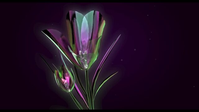 Abstract X Ray Style Crocus Flower Texture with Soap Bubble Colors 4K