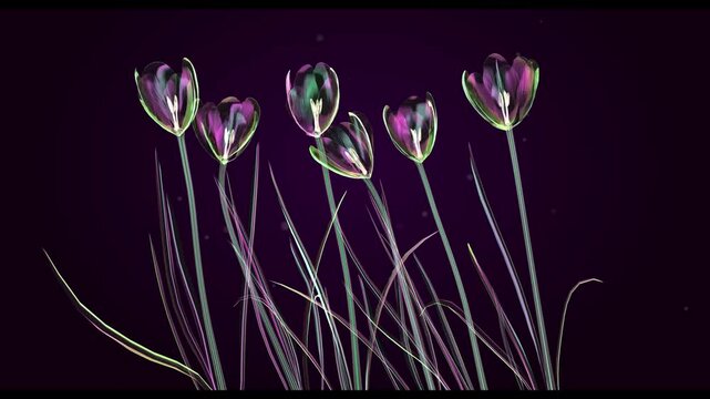 Abstract X Ray Style Crocus Flower Texture with Soap Bubble Colors 4K