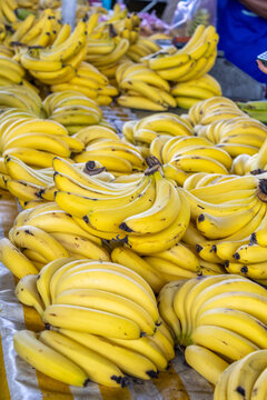 Fresh Ripe Yellow Bananas at a Local Market Stall
