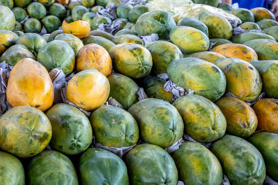 Fresh Papaya Harvest in Bulk Market Display - Organic Tropical Fruit Abundance with Ripeness Gradient