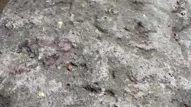 Close up of damaged weathered asphalt surface with grainy texture