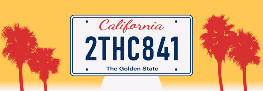 Car license plate concept. California USA vehicle registration number. Vector illustration. Flat style icon. Realistic design. Sunset, palm trees and hot sunny background.