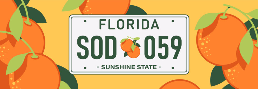 Car license plate concept. Florida USA vehicle registration number. Vector illustration. Flat style icon. Realistic design. Oranges and orange color background.