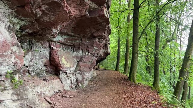 Pfalz im Fr&uuml;hling