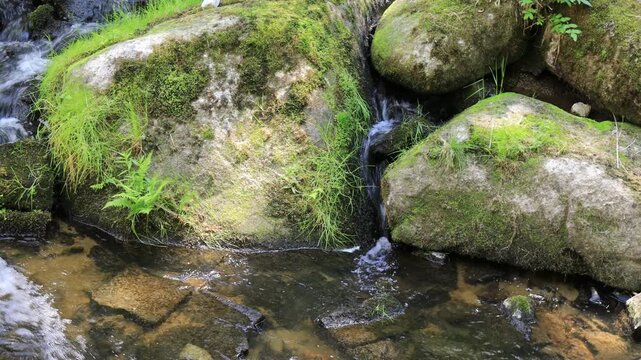 Im Naturschutzgebiet Sau&szlig;bachklamm