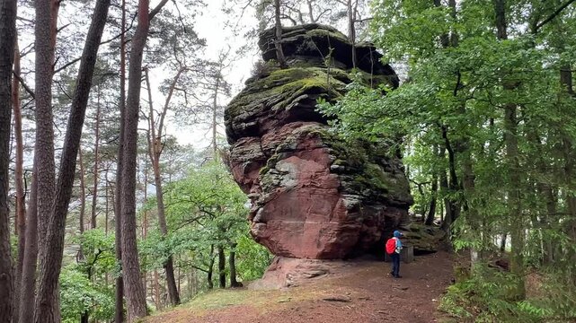 Pfalz im Fr&uuml;hling