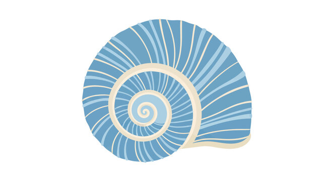 Spiral blue seashell with textured striped pattern