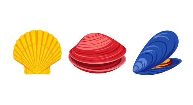 Colorful seashell set with scallop clam and mussel