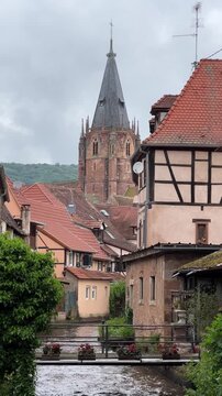 Pfalz im Fr&uuml;hling