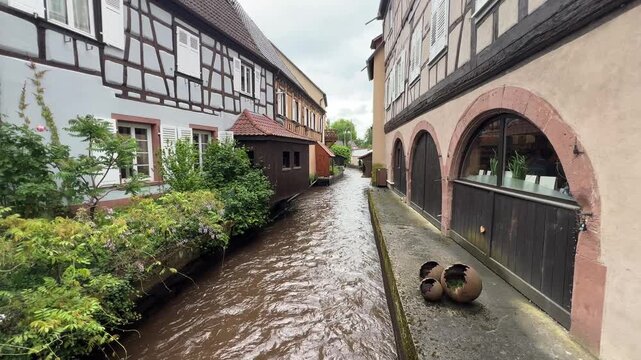 Pfalz im Fr&uuml;hling