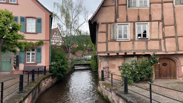 Pfalz im Fr&uuml;hling