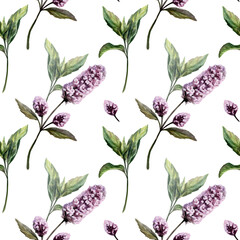 Mint seamless pattern watercolor illustration. Mentha medicinal herb blossom for refreshing pharmacy branding, stress relief tea packaging, organic cooling cosmetics design, herbal wellness print © AnKa