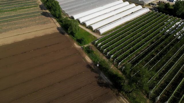 Agricultural greenhouses and orchards in northern Italy. Rural farming infrastructure with sustainable crop and flower production.