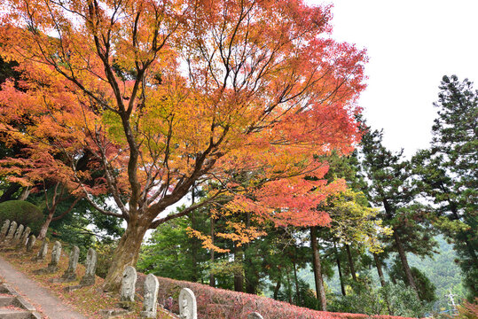 Raizan sennyoji Taihioin is the most famous landmark in Itoshima, Fukuoka Prefecture, Japan
