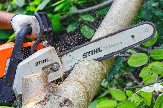 Ukraine Kiev July 24, 2024.Stihl chainsaw in Kiev. Stihl is a German manufacturer of chainsaws and other handheld power equipment