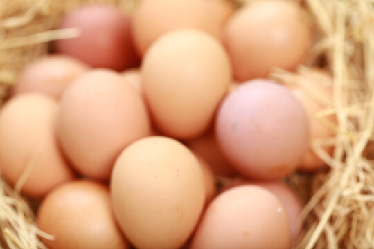 A high-angle, close-up shot shows a cluster of smooth, brown chicken eggs packed inside a cream-colored textile pouch. The bag is gathered at the edges, resting on a warm, dark wood surface. The light
