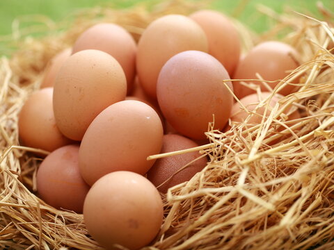A high-angle, close-up shot shows a cluster of smooth, brown chicken eggs packed inside a cream-colored textile pouch. The bag is gathered at the edges, resting on a warm, dark wood surface. The light