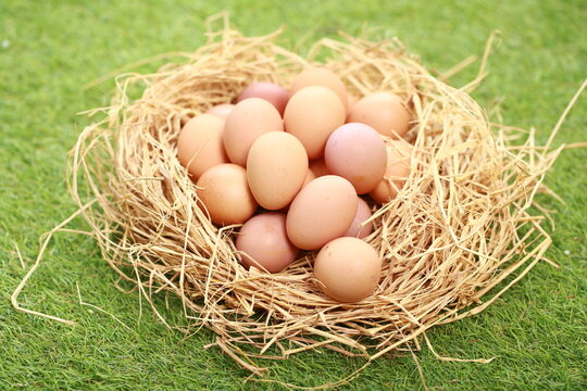 A high-angle, close-up shot shows a cluster of smooth, brown chicken eggs packed inside a cream-colored textile pouch. The bag is gathered at the edges, resting on a warm, dark wood surface. The light