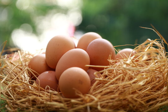 A high-angle, close-up shot shows a cluster of smooth, brown chicken eggs packed inside a cream-colored textile pouch. The bag is gathered at the edges, resting on a warm, dark wood surface. The light