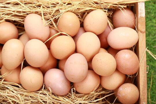 A high-angle, close-up shot shows a cluster of smooth, brown chicken eggs packed inside a cream-colored textile pouch. The bag is gathered at the edges, resting on a warm, dark wood surface. The light