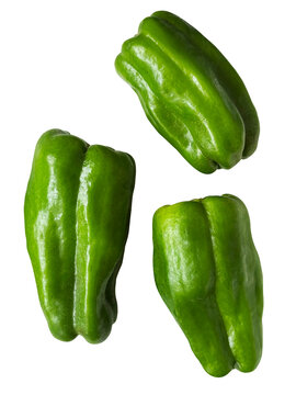 ピーマン 3個の独立した配置の白背景切り抜き。新鮮な夏野菜・オーガニック食材・緑黄色野菜の料理食材 (Green bell pepper isolated. Three whole fresh raw pimentos, white background summer vegetable ingredient for cooking)