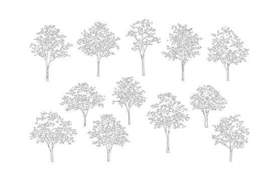 Minimalist architectural tree outlines, set of 12 thin line vector trees for landscape design, modern CAD block foliage silhouettes for site plans