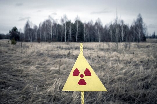 Wooded area in the contaminated zone between Pripyat and Chernobyl, Ukraine