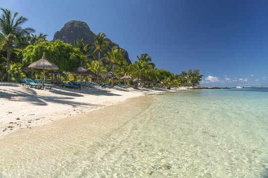 Beach with palm trees, mountain Le Morne Brabant in the background, peninsula Le Morne, Black River, Mauritius