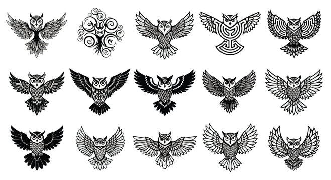 Set of 15 black and white owl illustrations with detailed feather patterns and expressive eyes for design projects
