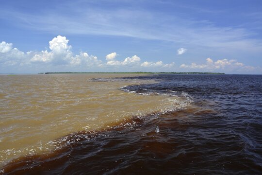 Encontro das Aguas, the Meeting of Waters, the confluence of the white water river Rio Solim&otilde;es and black water river Rio Negro, further down river is called Amazon, Manaus, Amazonas State, Brazil