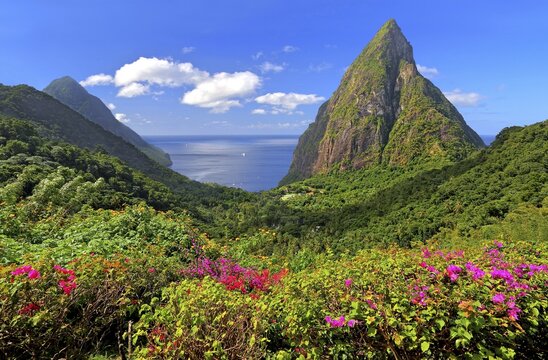 Landscape with the two Pitons, Gros Piton 770m and Petit Piton 743m, Soufriere, St. Lucia, Lesser Antilles, West Indies, Caribbean Islands