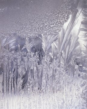 Tracery on a frosted window