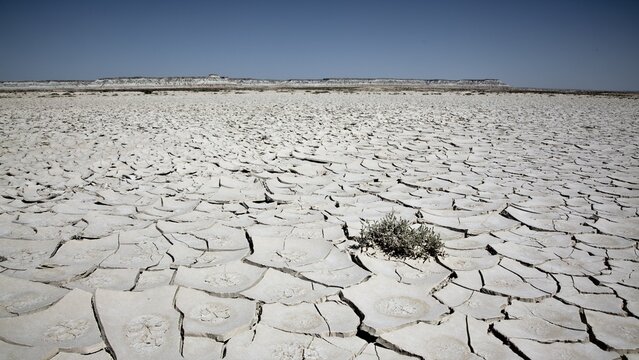 Steppe near Balkanabat, Oglanly, Balkan Province, Turkmenistan