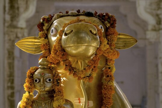 God Shiva&acute;s bull, Mount Abu, Rajasthan, Indien