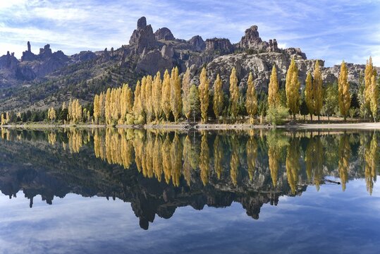 River Limay with poplars in autumn colour at Bariloche, Ruta 40, Patagonia, Argentina