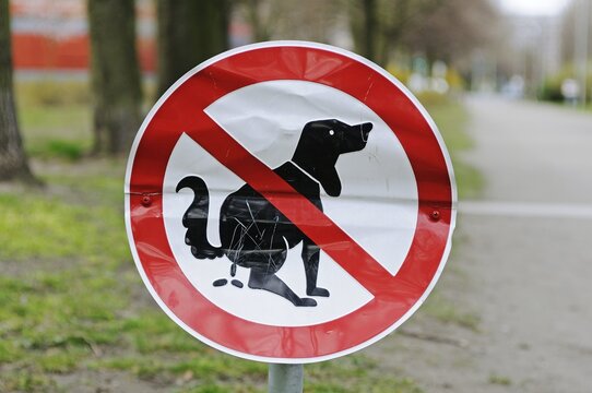 Dented sign, no dogs allowed on lawn, Berlin, Germany, Europe