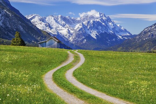 Mountain path through spring meadow with hay barn in front of Zugspitzgruppe 2962m in Wetterstein range, Eschenlohe, Loisachtal, Das Blaue Land, Upper Bavaria, Bavaria, Germany