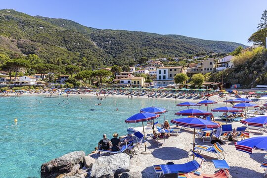 Sunshades and sunbeds at Sant Andrea beach, west coast of Elba, Tuscan Archipelago, Tuscany, Italy