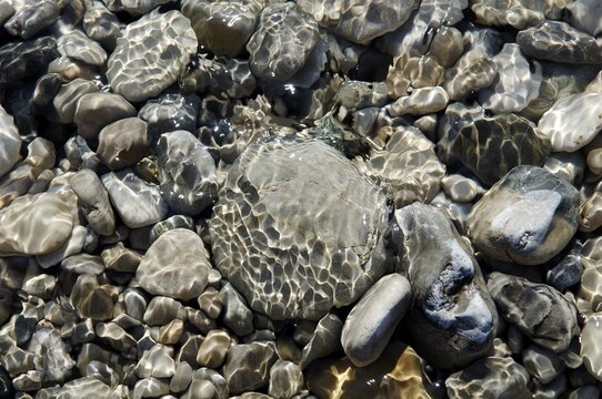 Stones in the water