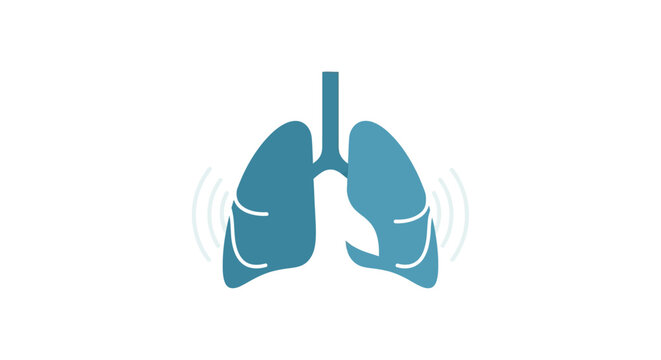 Human lungs anatomy medical illustration.