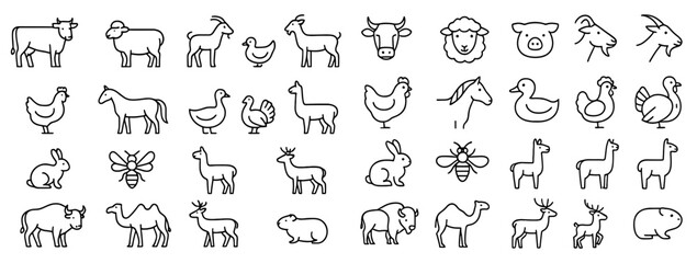 Fototapeta premium Farm animal icons paired with cheese blocks